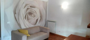 Mimì Home